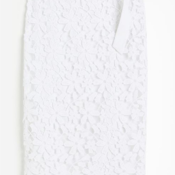 SKIRT H&M Limited Edition Midi White Eyelet Embroidery Skirt - Picture 2 of 11